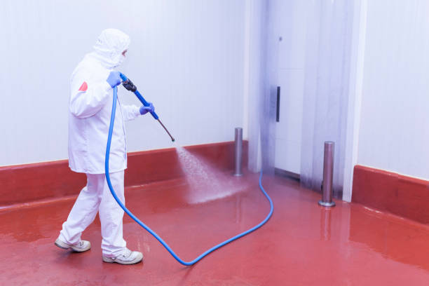 Animal Enclosure Cleaning in Marmora, NJ